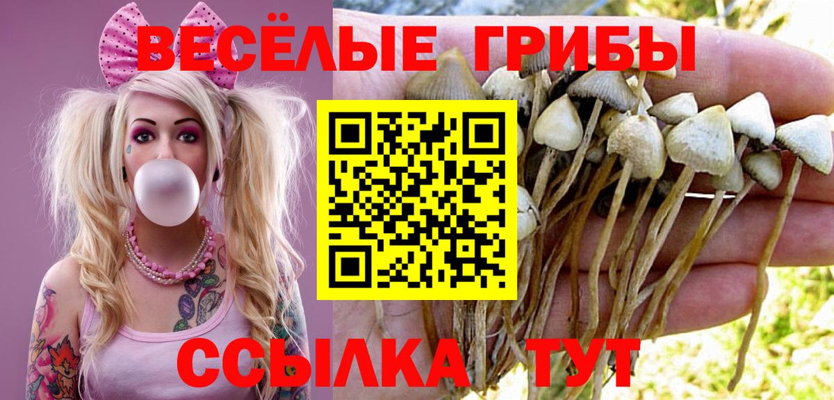 Озёрск  закладки  Псилоцибиновые грибы Psilocybine cubensis  Вход с VPN  Псилоцибиновые грибы Psilocybe 