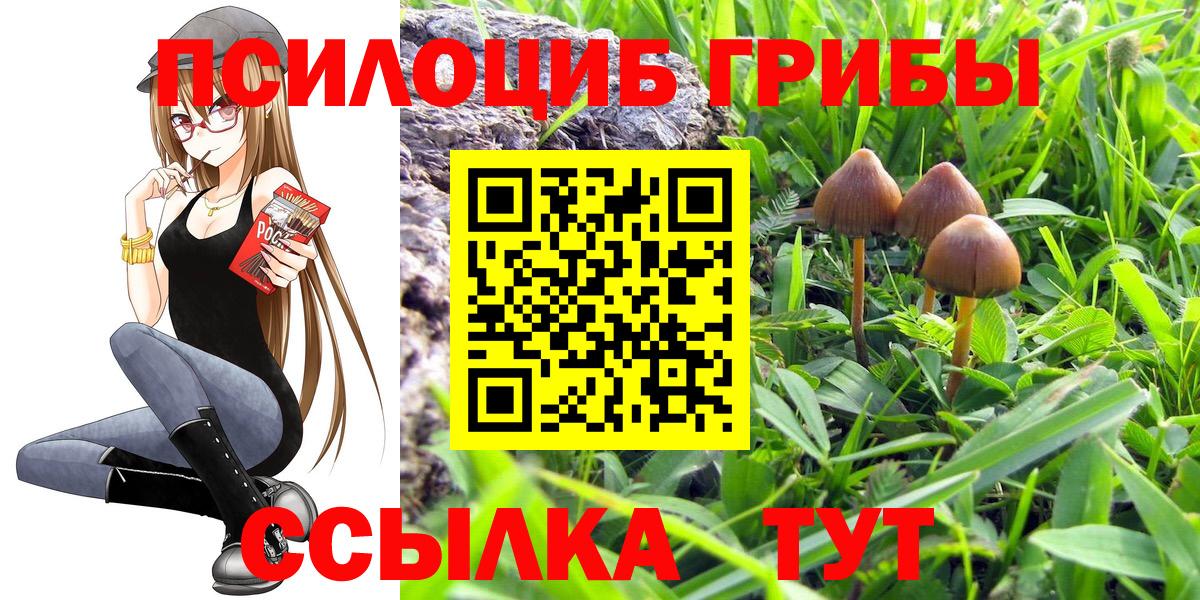 Псилоцибиновые грибы Magic Shrooms Озёрск